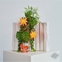 Herrnhuter Kunststoffstern A1e, Innenstern, Sonderedition 2026 apricot