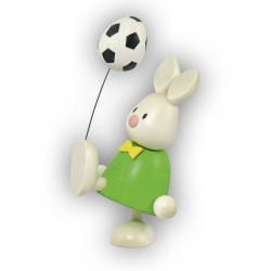 Kaninchen Max mit Fußball