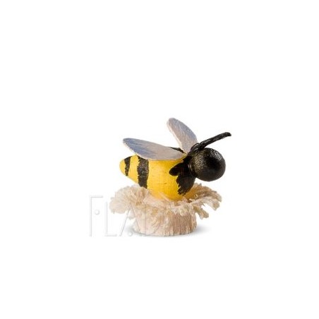 Flade Kinder - Biene auf Blüte